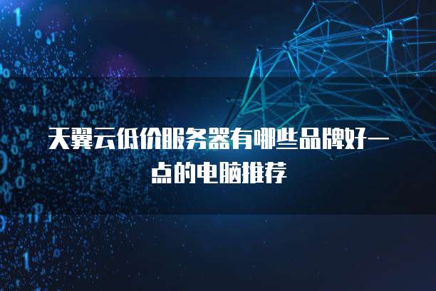 便宜服务器有哪些品牌好一点的电脑